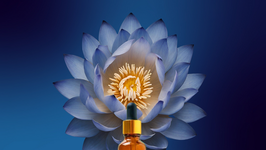 Lucid ✦ Blue Lotus Tincture - Altar Native