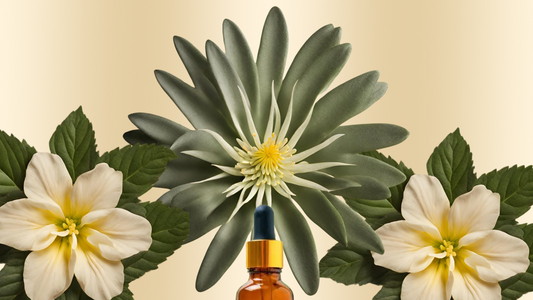 Ecstatic ✦ Kanna + Damiana Blend - Altar Native