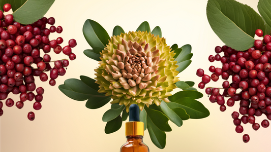 Long Rhode ✦ Rhodiola + Schisandra Adaptogen Blend - Altar Native