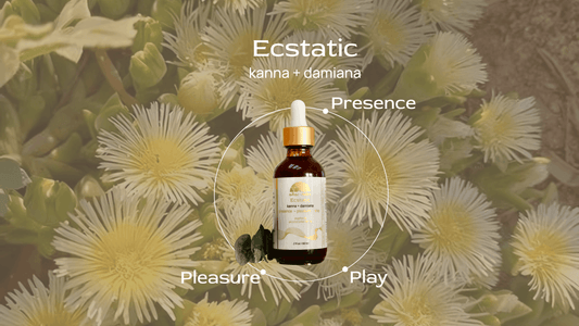 Ecstatic Ease: Social anxiety relief from Kanna + Damiana
