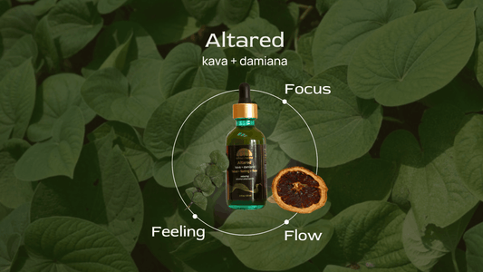 Altared ✦ Kava + Damiana Tincture