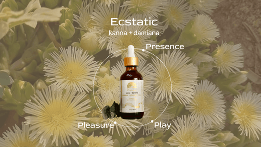Ecstatic ⟡ Kanna & Damiana Drops