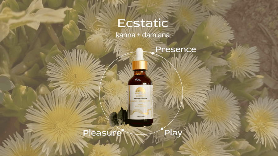 Ecstatic ⟡ Gotas de kanna y damiana