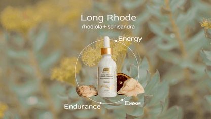 (PRE-ORDER) Long Rhode ⟡ Rhodiola + Schisandra Adaptogen Drops